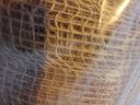 Toile de jute