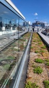 Garde corps verre - inox