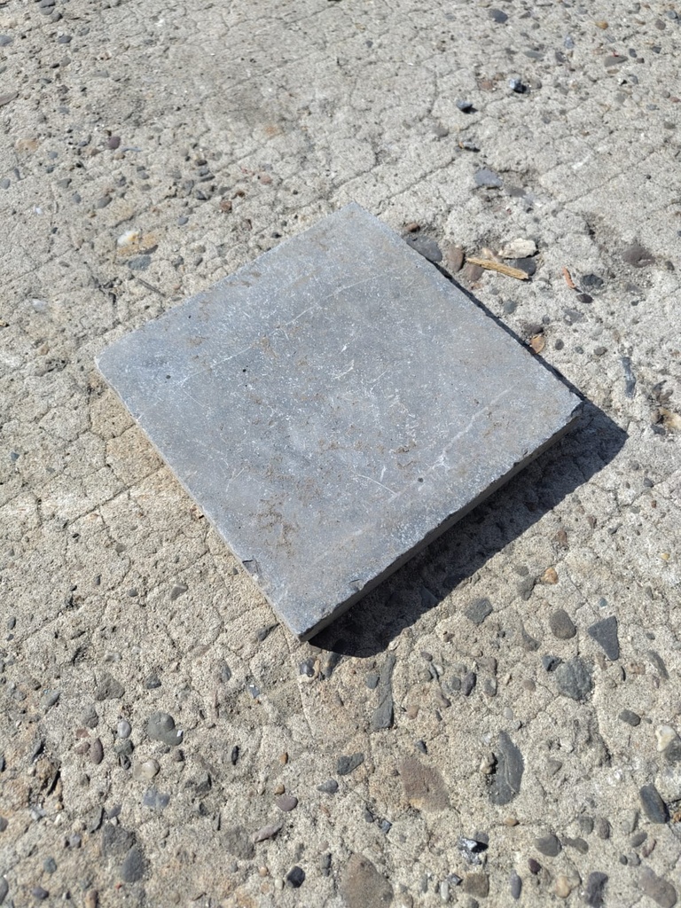 Pavé de Pierre Bleue belge 15x15x2 (L)