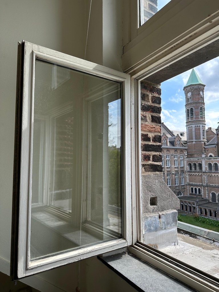 Châssis simple ouvrant - chêne