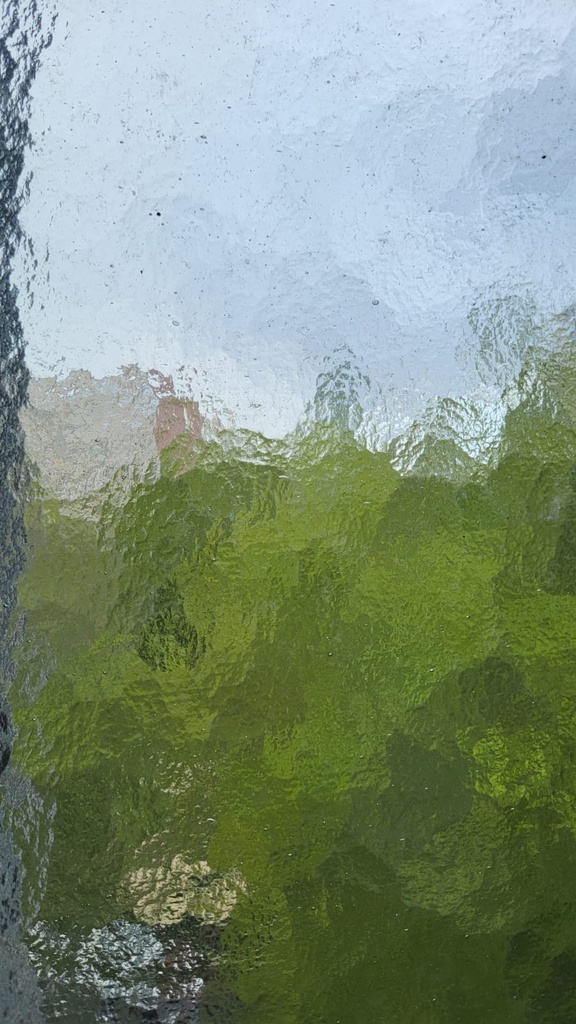 Verre martelé -carré (48*48)