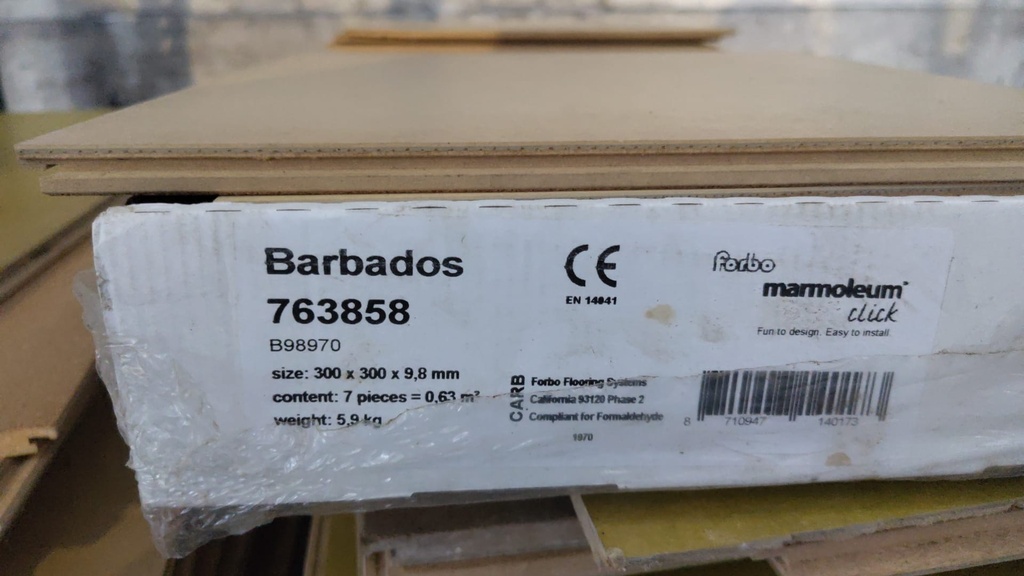 Revêtement de sol en liège bicolore - beige/vert (L)