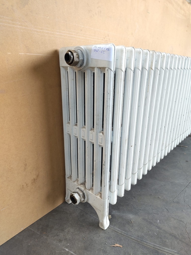 Radiateur sur pied en fonte 165x65x21 cm (L) 