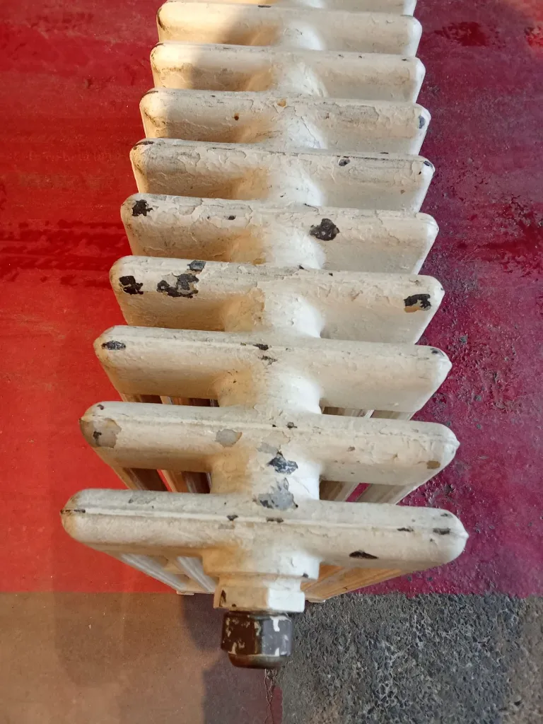 WhatsApp Image 2026-01-22 at 10.34.54 (2).webp