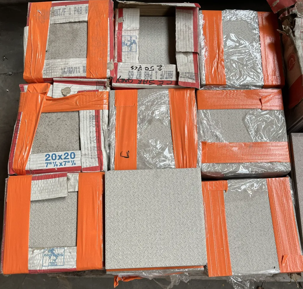 Cesar Grey 20x20 (2).webp