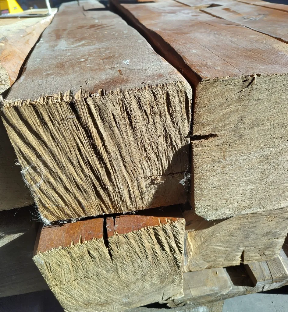 WhatsApp Image 2026-02-27 at 10.52.49.webp