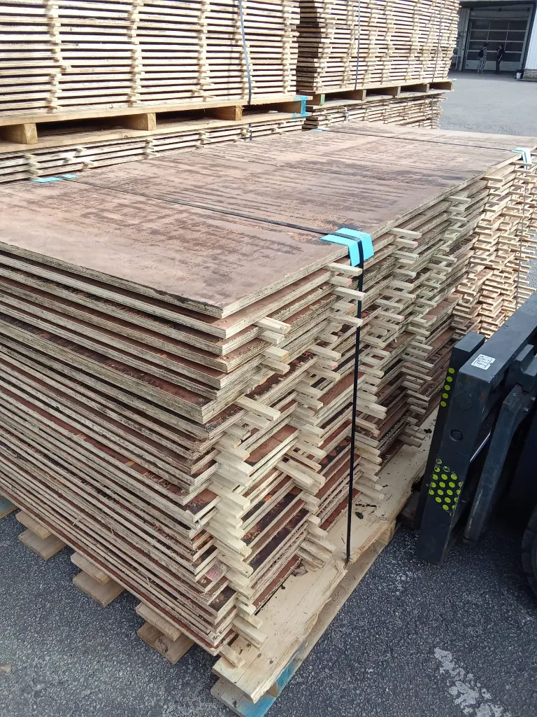 WhatsApp Image 2026-03-06 at 16.06.31.webp