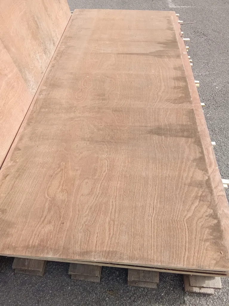 WhatsApp Image 2026-03-06 at 16.06.31 (3).webp