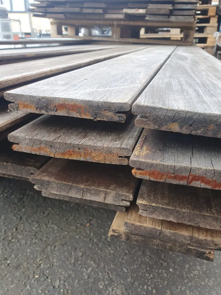 WhatsApp Image 2026-04-11 at 09.27.02.webp