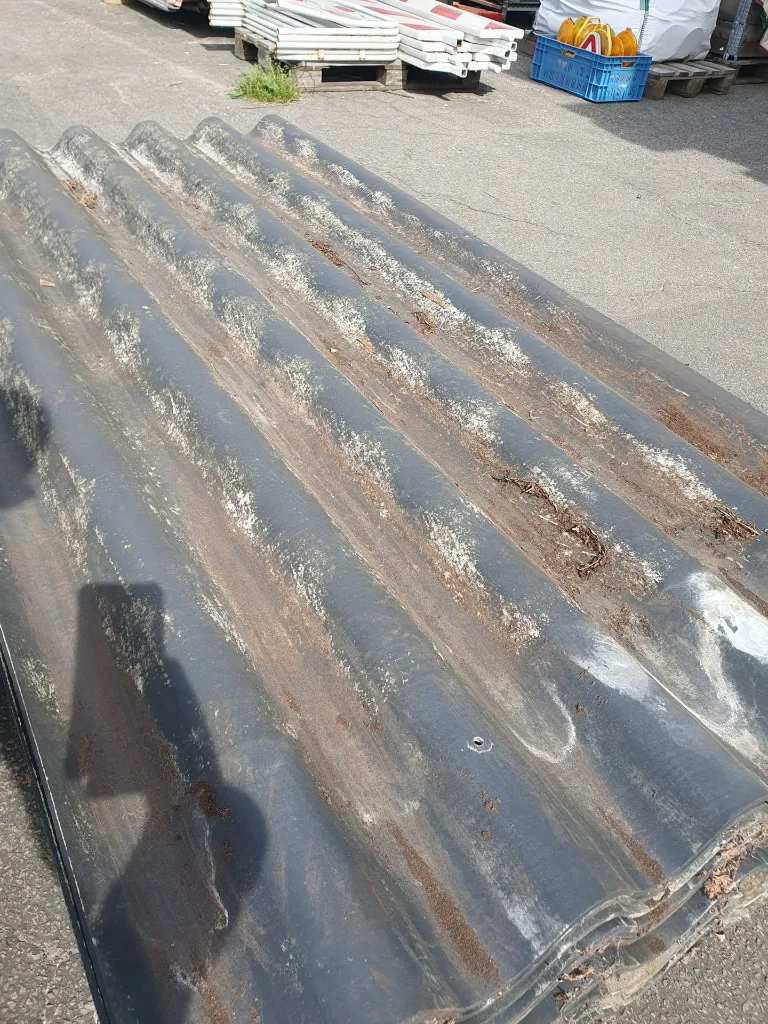 WhatsApp Image 2026-04-11 at 12.53.59 (1).webp