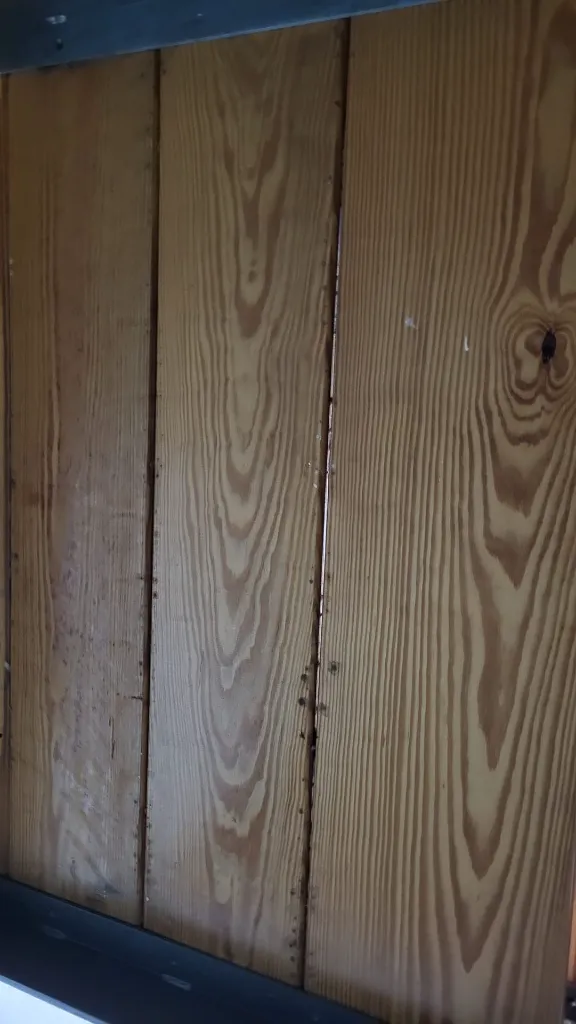 WhatsApp Image 2026-04-10 at 11.36.27 (4).webp