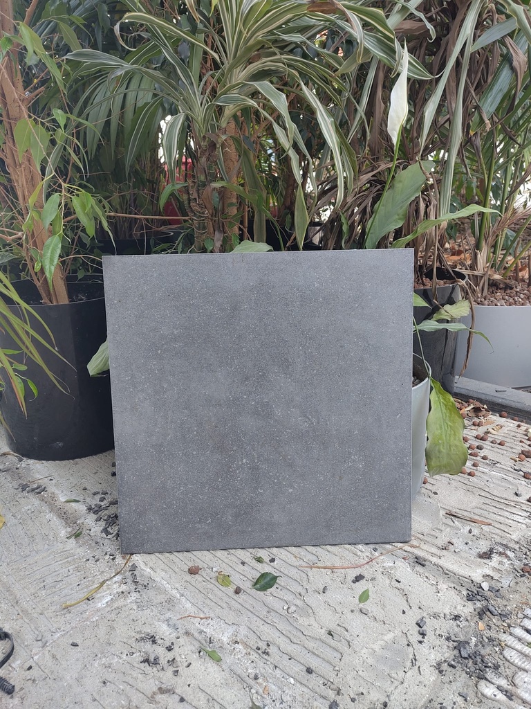 Carrelage gris clair 45x45x1 cm (L)