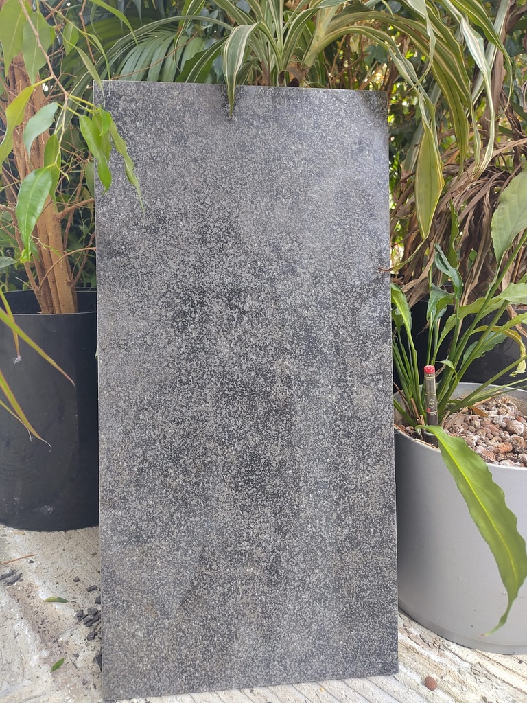 Carrelage gris moucheté 60x30x1 cm (L)