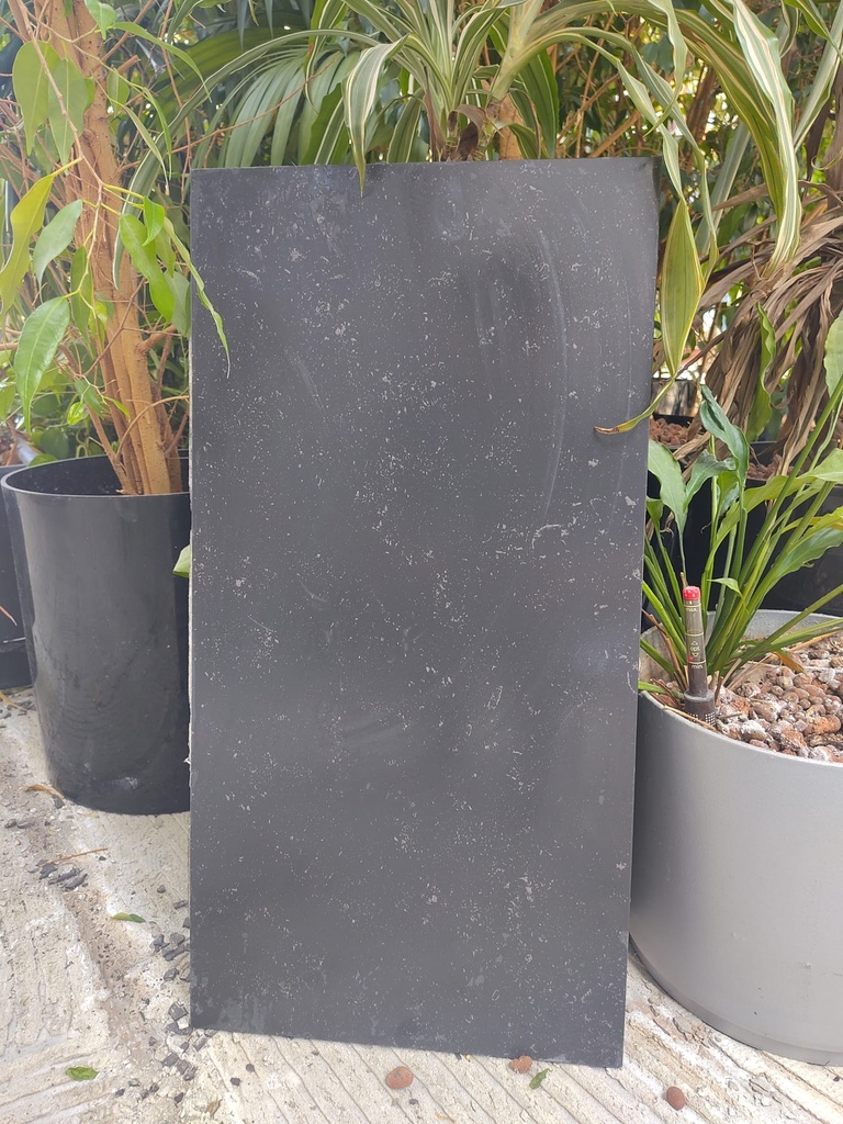 Carrelage gris foncé 60x30x1 cm (L) 