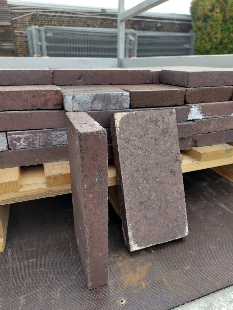 Brique réfractaire 25x12x3 cm (L)