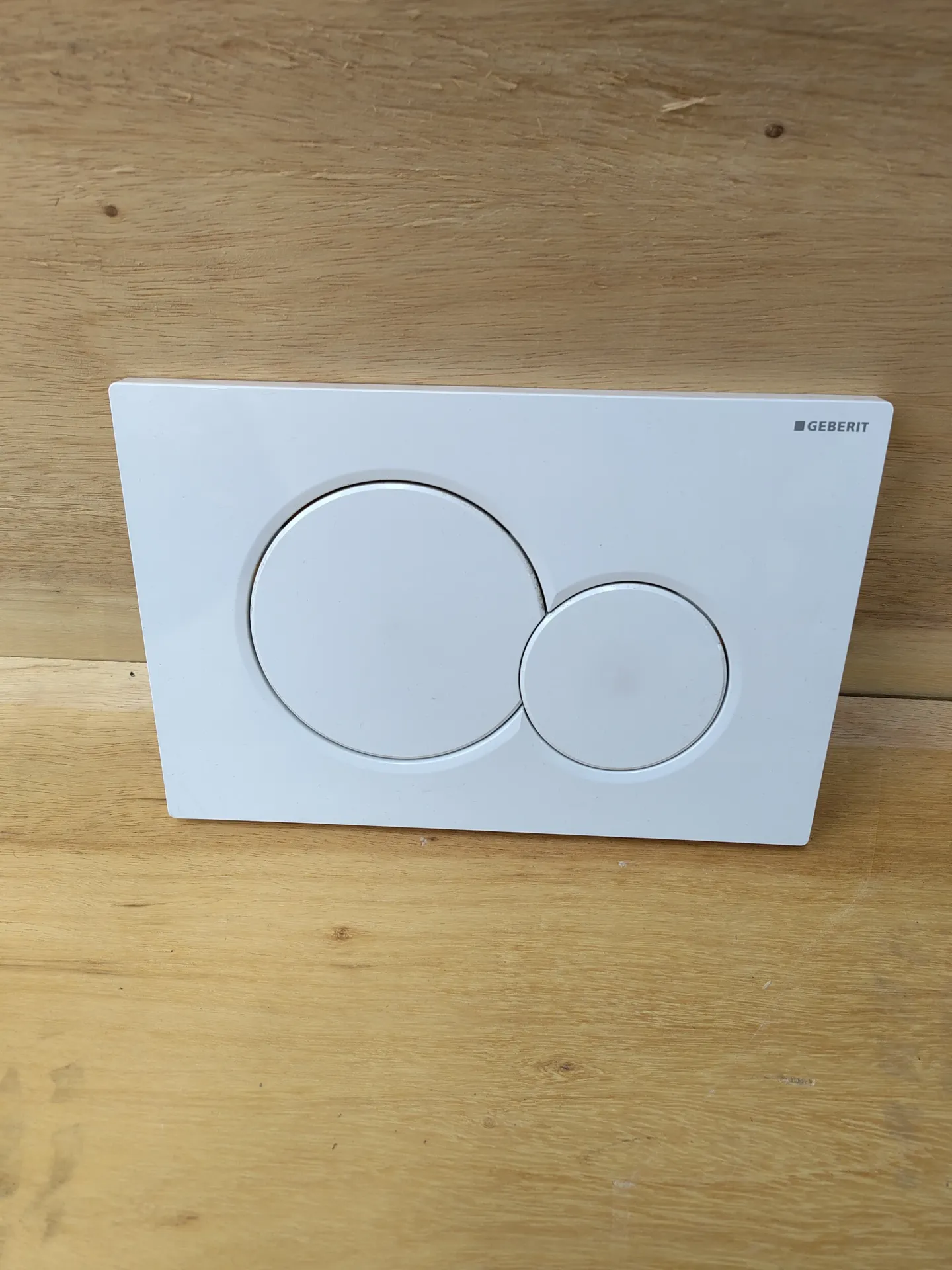 Plaque de déclenchement double GEBERIT (L)