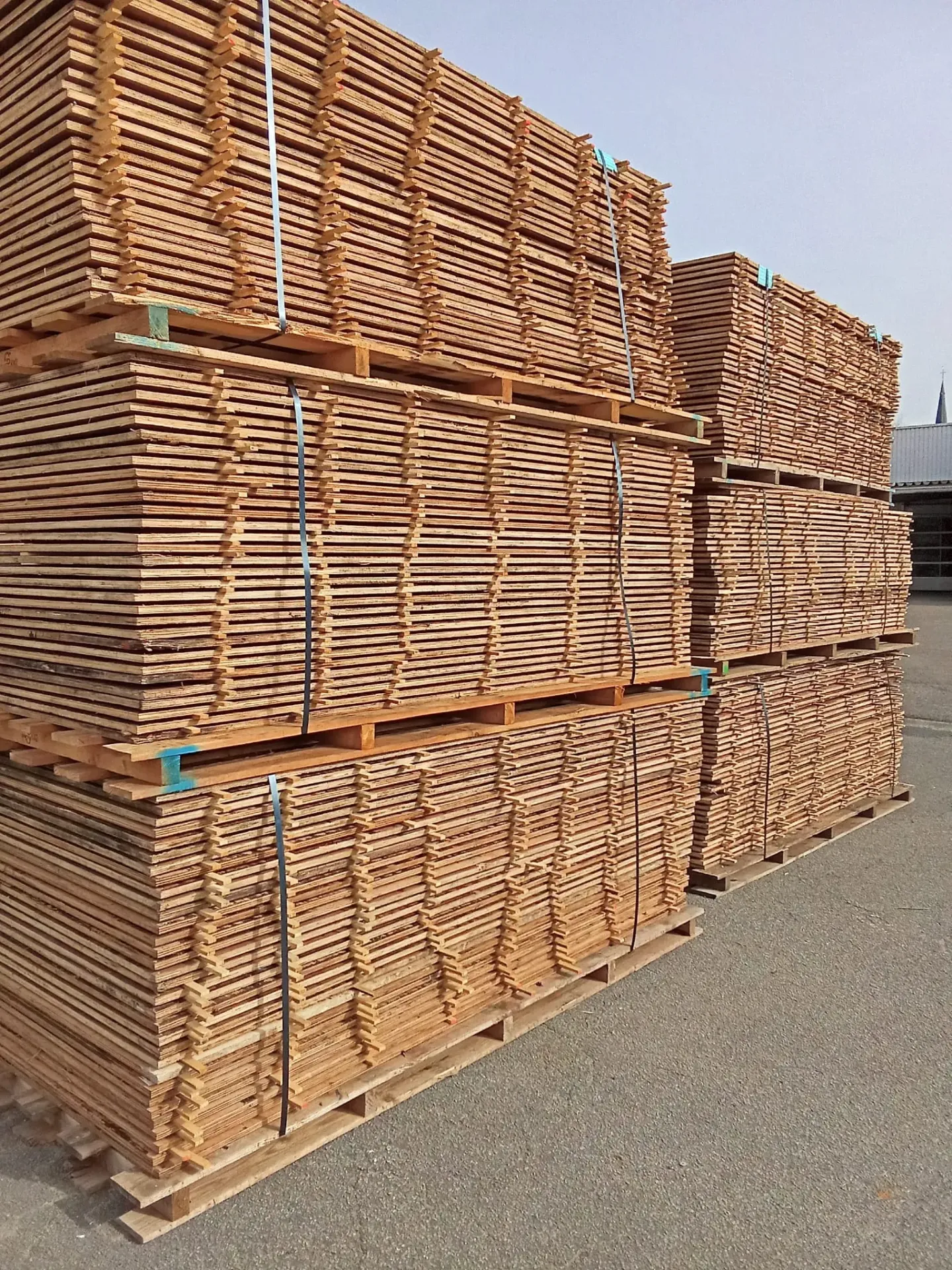 Multiplex méranti 18mm