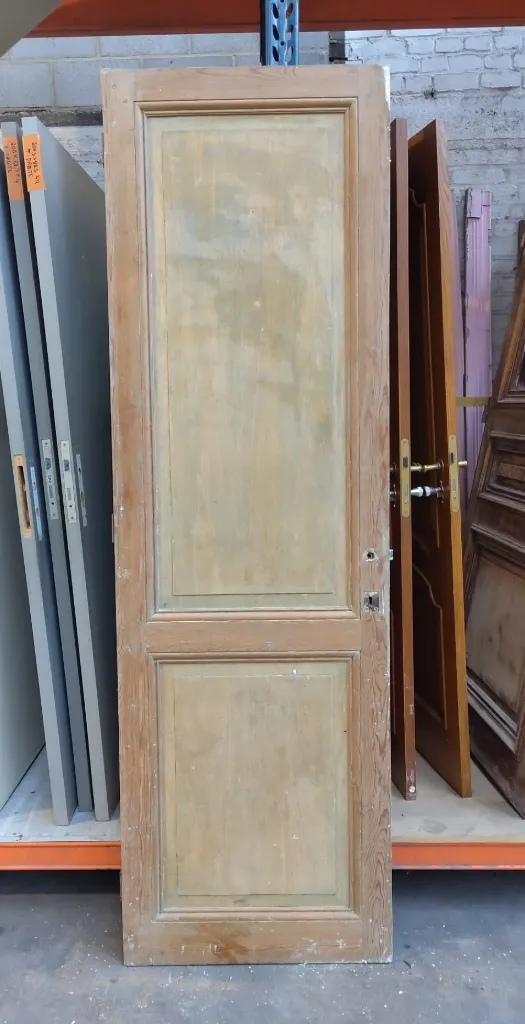 Porte ancienne 2 panneaux 230x71x3,5 cm (L)