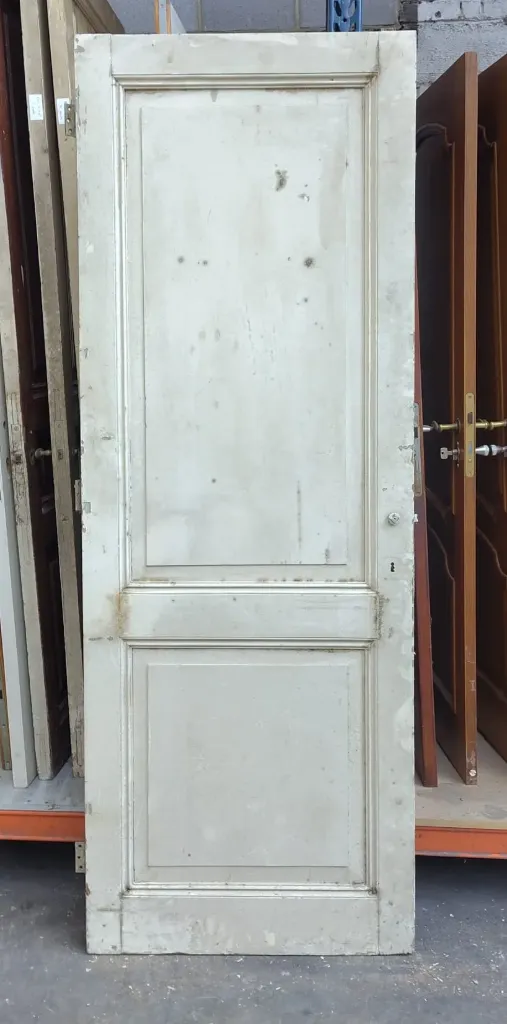 Porte pleine 2 panneaux 222x81x3,5 cm (L)