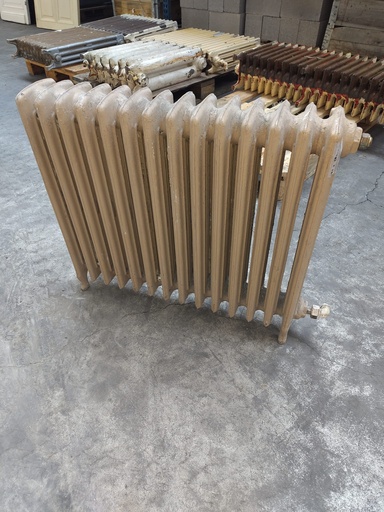 Radiateur en fonte sur pied (L)
