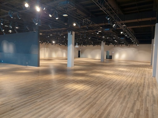 Vinyle LVT Gerflor (L)